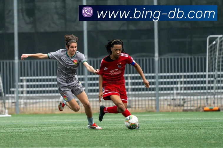 DB旗舰发展历程